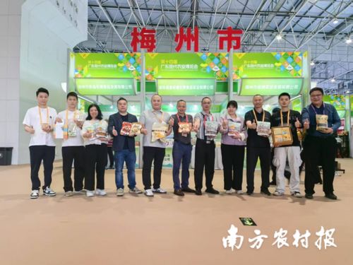 智創(chuàng)未來，AI賦能 蕉嶺毛竹品牌煥新，實業(yè)公司引領(lǐng)產(chǎn)業(yè)升級